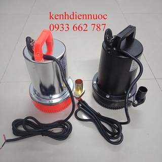 Bơm chìm inox 12V/24V công suất 180W