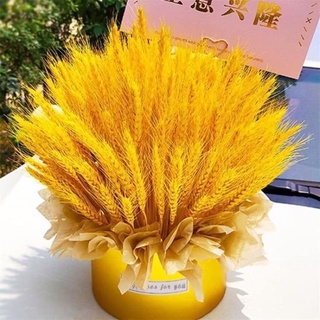 Bông Lúa Mạch Khô Decor trang trí [ Hàng hót] set 100 bông