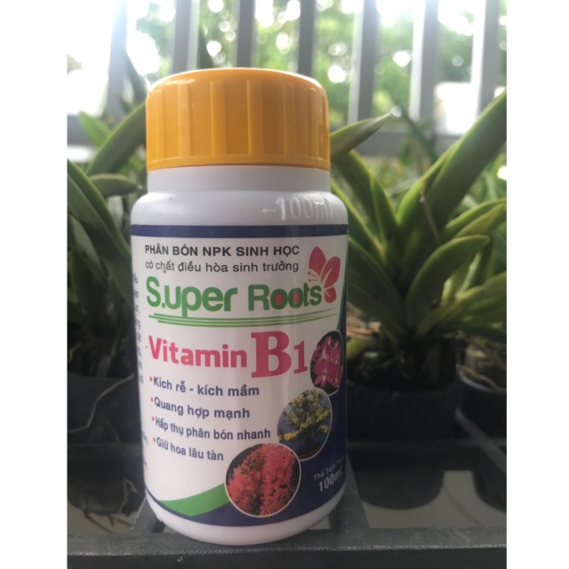 Super Roots Vitamin B1 - kích rễ , kích mầm , giữ hoa lâu tàn