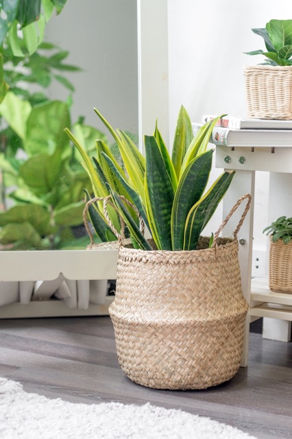 Giỏ cói, sọt cói đựng đa năng siêu hót