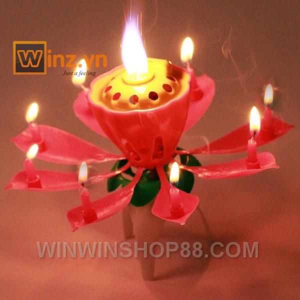 Nến sinh nhật nở hoa và phát nhạc - Muasamhot1208