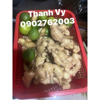Gừng 80k 1 kg