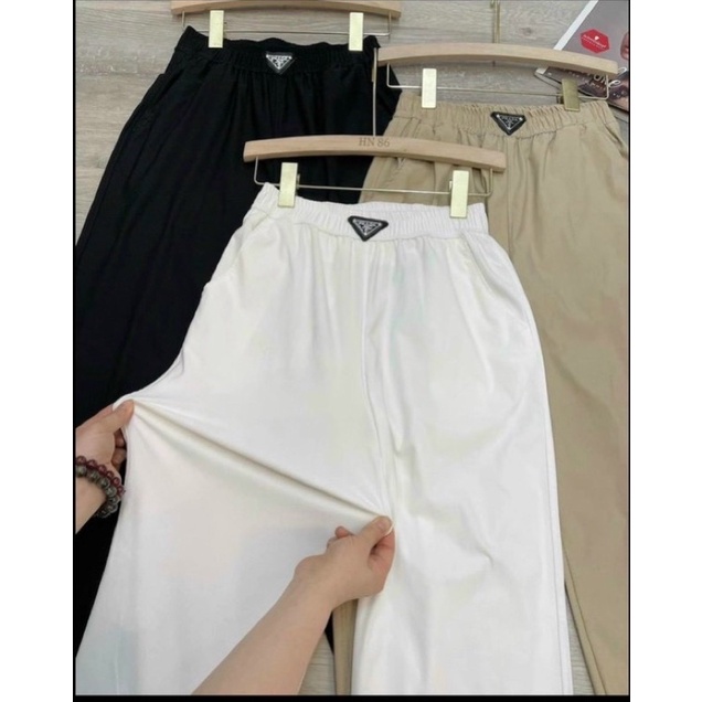 Quần Jogger Đũi Chun Bo Gấu 823