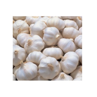 TỎI LÝ SƠN LOẠI 1 CHÍNH GỐC( 1KG )