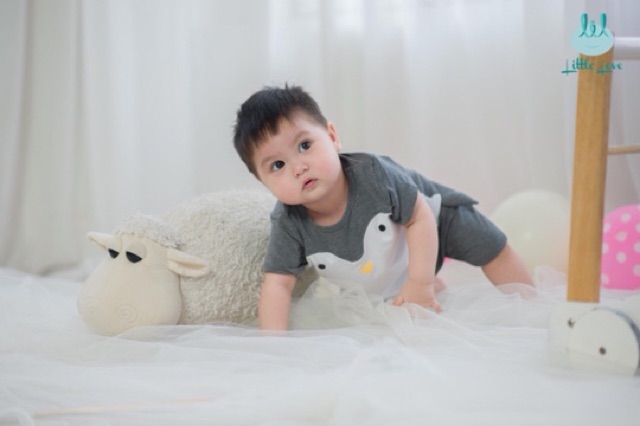 [𝗟𝗜𝗧𝗧𝗟𝗘 𝗟𝗢𝗩𝗘] Bộ cộc tay chim cánh cụt smoothy siêu mềm mát cho bé 6m-3y