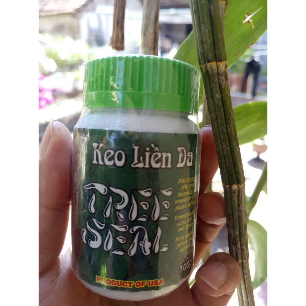 Keo Liền Sẹo cây Mỹ Morrison 100gram311