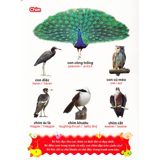 Sách: Từ Điển Tranh Về Các Con Vật - Động Vật (Bìa Cứng B100)