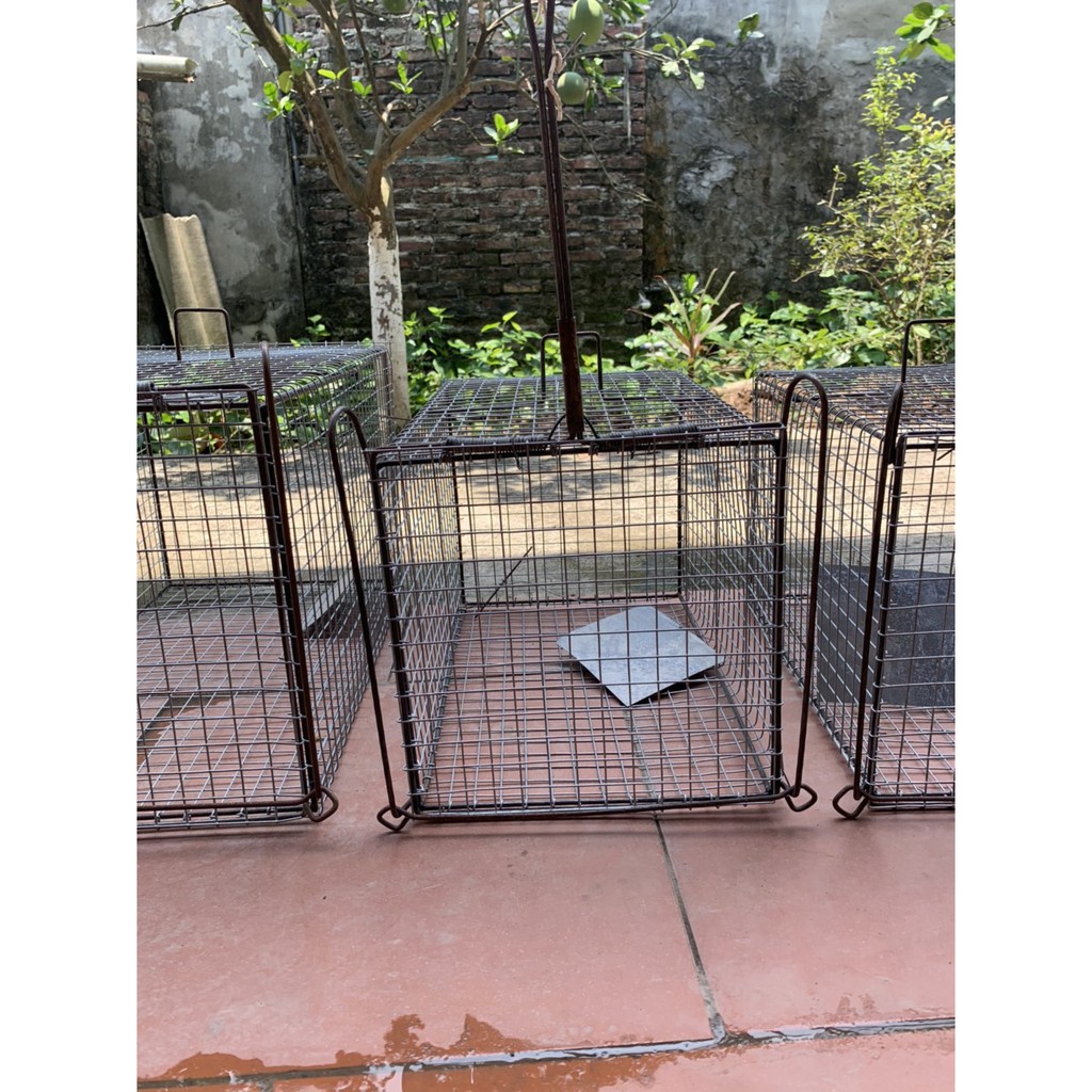 LỒNG SẮT CỨNG CÁP CHUYÊN DÙNG BẪY MÈO VÀ ĐỘNG VẬT RỪNG CỰC DỄ VÀ AN TOÀN HIỆU QUẢ CỰC CAO chất 6hsfa8