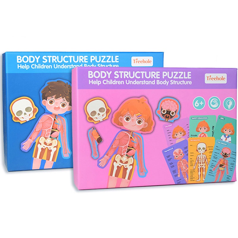 Xếp hình cấu tạo cơ thể người - Body structure puzzle - mô hình cơ thể người - giáo cụ montessori