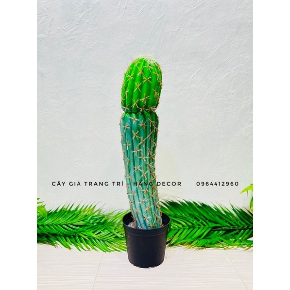 Xương rồng giả trang trí 75cm hằng decor