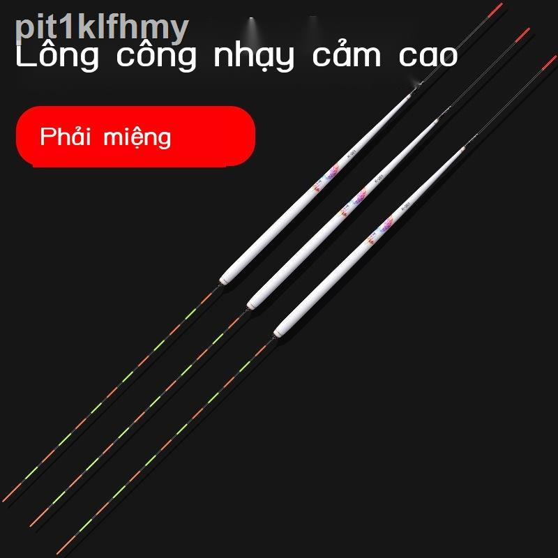Cá lông công phao nhẹ miệng chép diếc câu mùa đông có độ nhạy cao siêu bắt mắt chống gió sóng nước hoang dã