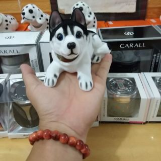 Chó cảnh lắc lư để xe ô tô