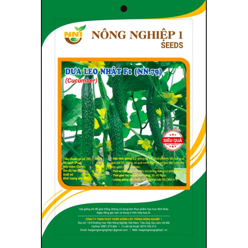 HẠT GIỐNG DƯA LEO NHẬT- DƯA KIẾM F1