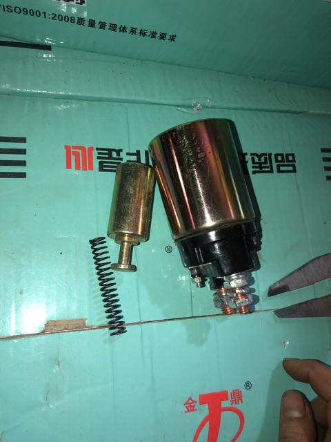 chuột đề lai 12v 24v