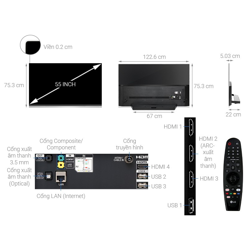 Smart Tivi OLED LG 4K 55 inch 55E9PTA