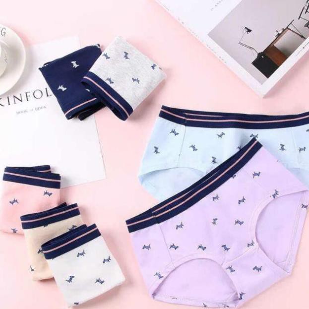 truclinh008 Quần lót ngựa