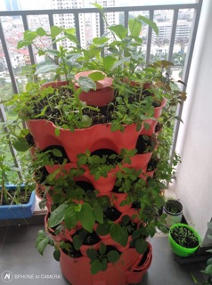 Tháp rau hữu cơ Organic Tower