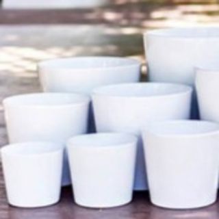 Chậu sứ trắng