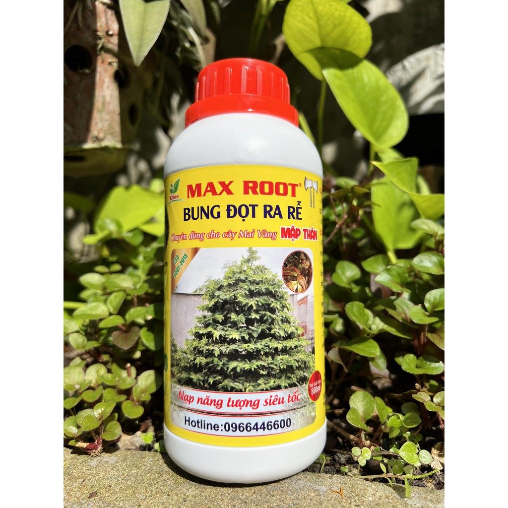 Phân Bón Bung Đọt Ra Rễ Mai Vàng Max Root Chai 0,5 Lít - Ra Rễ Mạnh, Bung Đọt Nhanh, Xanh Lá, Dày Lá