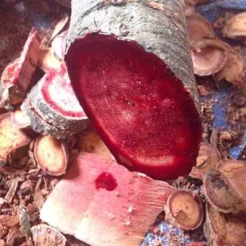 Huyết đằng  1 kg