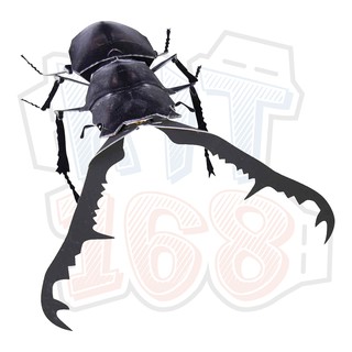 Mô hình giấy động vật côn trùng Bọ Prosopocoilus Giraffa