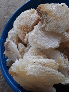 1 lít Mật ong trắng rừng( hoa Blongsoong) chuẩn sịn