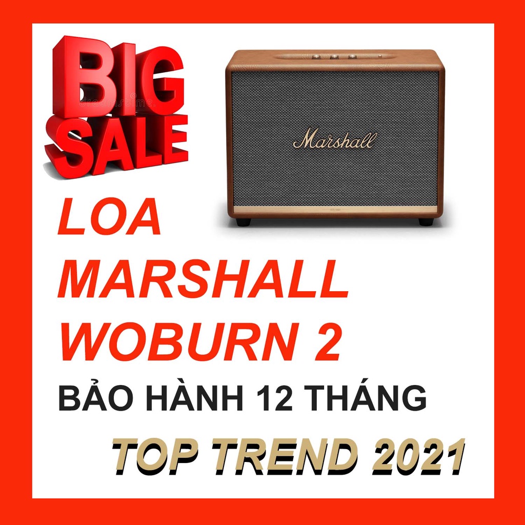 Loa bluetooth Marshall Woburn 2