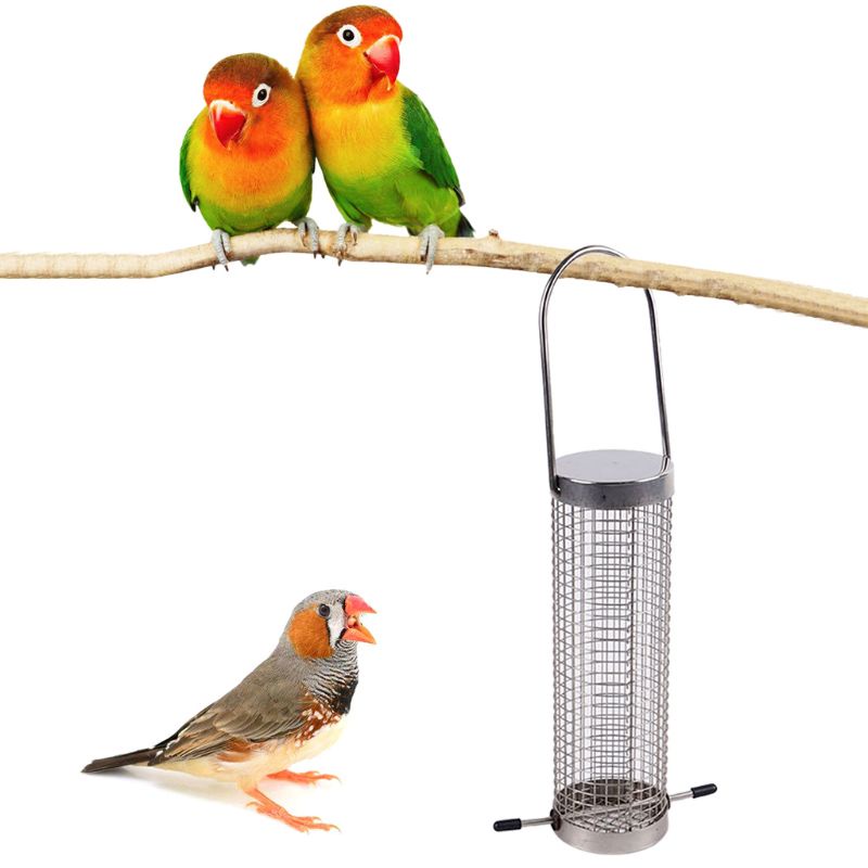 Dụng Cụ Cho Chim Ăn Bằng Kim Loại Tiện Dụng