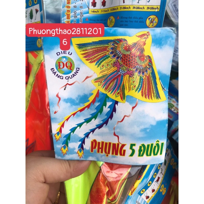 (TĂNG DÂY)Diều thả ngoài trời- Phượng hoàng- đại bằng- phụng- Cá mập