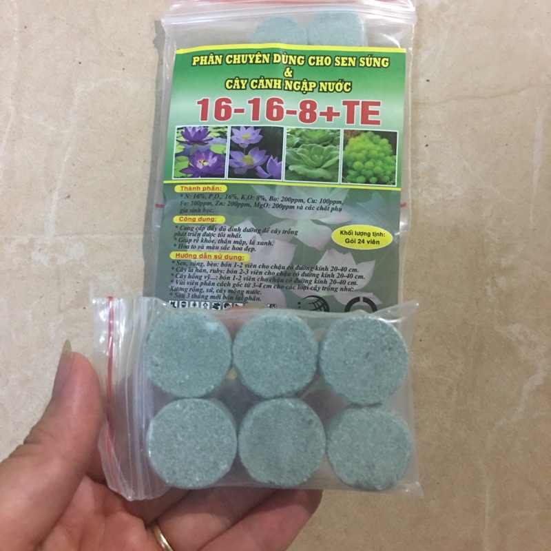 24 viên phân cho cây sen, súng, cây thủy sinh