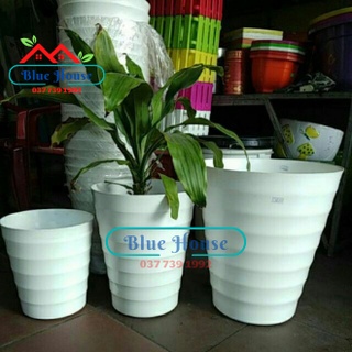 [ Giá Sốc ] Chậu Trắng Vòng Tròn Trắng