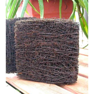 Dớn sợi - Dớn bảng