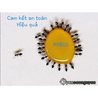 Diệt kiến sinh học,an toàn cho người, diệt kiến cả đàn