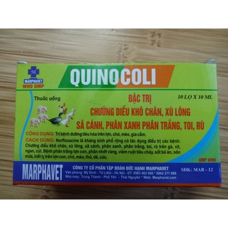 1 lọ QUINOCOLI CHO CHIM,VẸT, YẾN PHỤNG