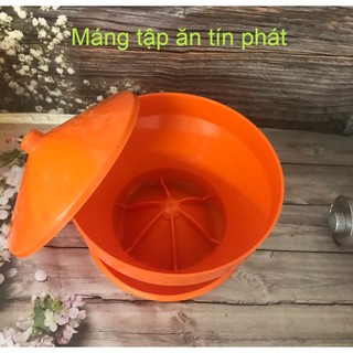 Máng tập ăn cho gà con Tín Phát