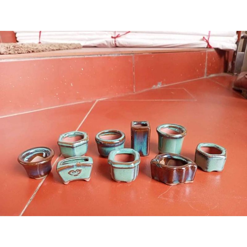 chậu mini hoả biến