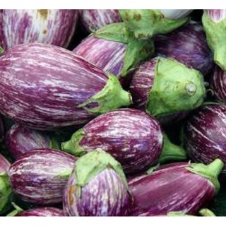 Hạt giống Cà Tím sọc