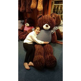 Gấu bông teddy mặc áo khổ vải 2m