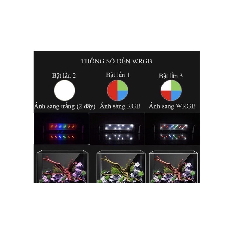 Đèn Led 3 Chế Độ Dùng Cho Bể Thủy Sinh Mini - Đèn Led 3 Chế Độ Màu RGB