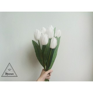 Hoa Tulip/ Uất kim cương bằng giấy nhún