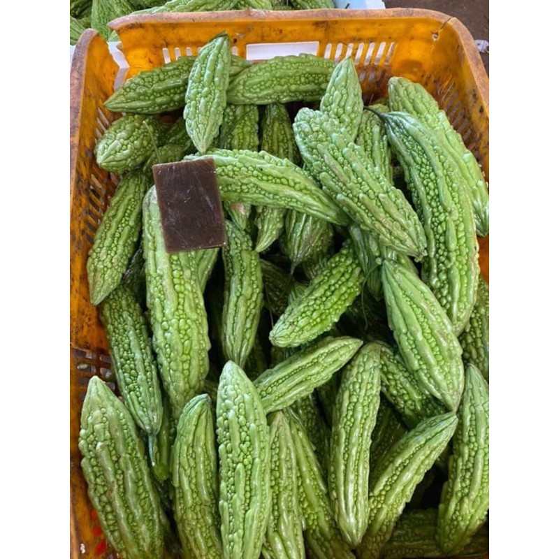 XÀ BÔNG KHỔ QUA | BigBuy360 - bigbuy360.vn