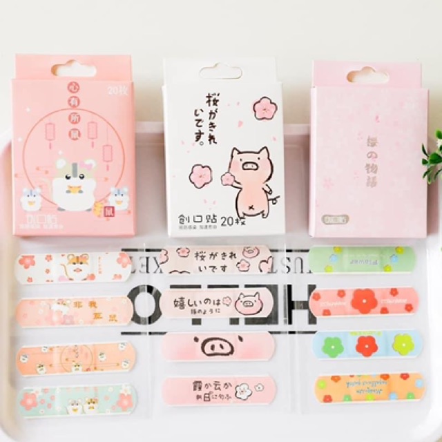 Hộp băng dán cá nhân