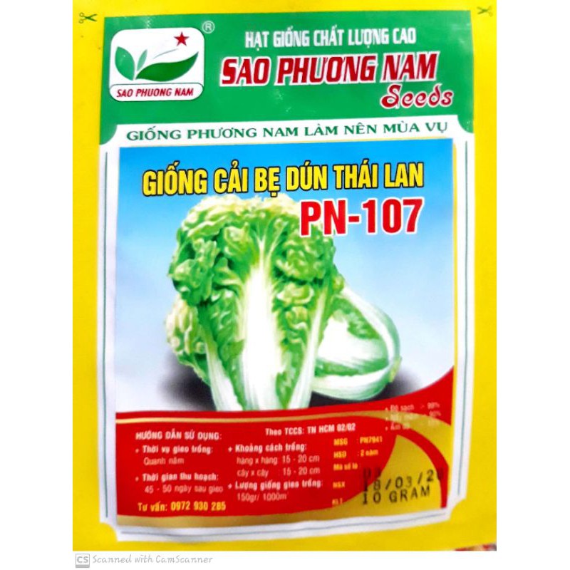 20gam Hạt Giống Cải Bẹ Dún Trồng Rau