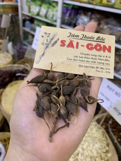 Quả Liên Kiều 100g
