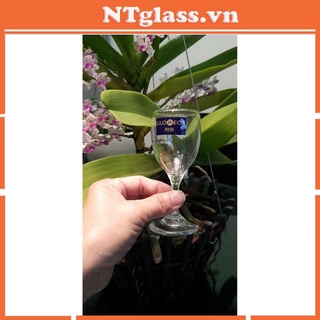 Ly rượu có chân 28ml-60ml DELI