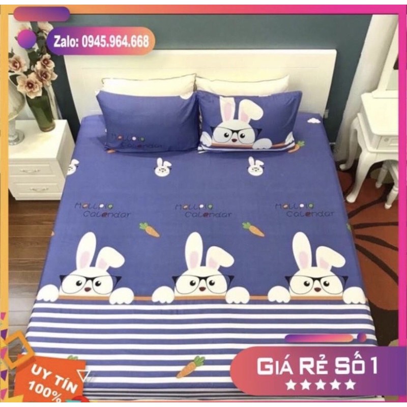 Ga Chống Thấm Cotton Cao Cấp Thoáng Mát Bảo Vệ Nệm 10cm