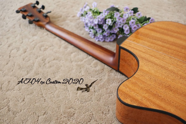 Thuận Guitar AT-04CX Custom