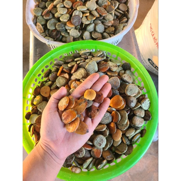 Nhân Hạt Gấc Đã Rang (1kg) ( cam kết chất lượng)