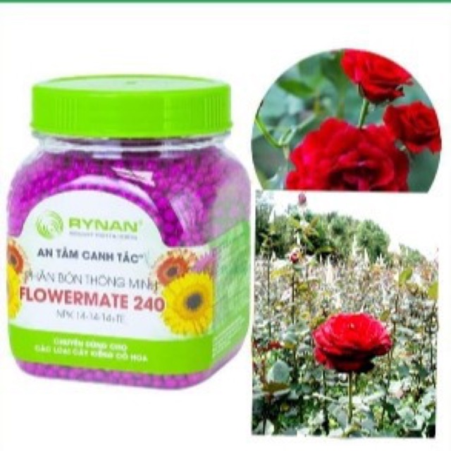 Phân Tan Chậm RYNAN, Phân NPK 240 - 230 - 200 (hủ 150g)