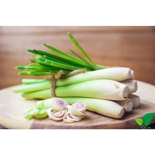 Sả Đà Lạt tươi ngon bổ dưỡng